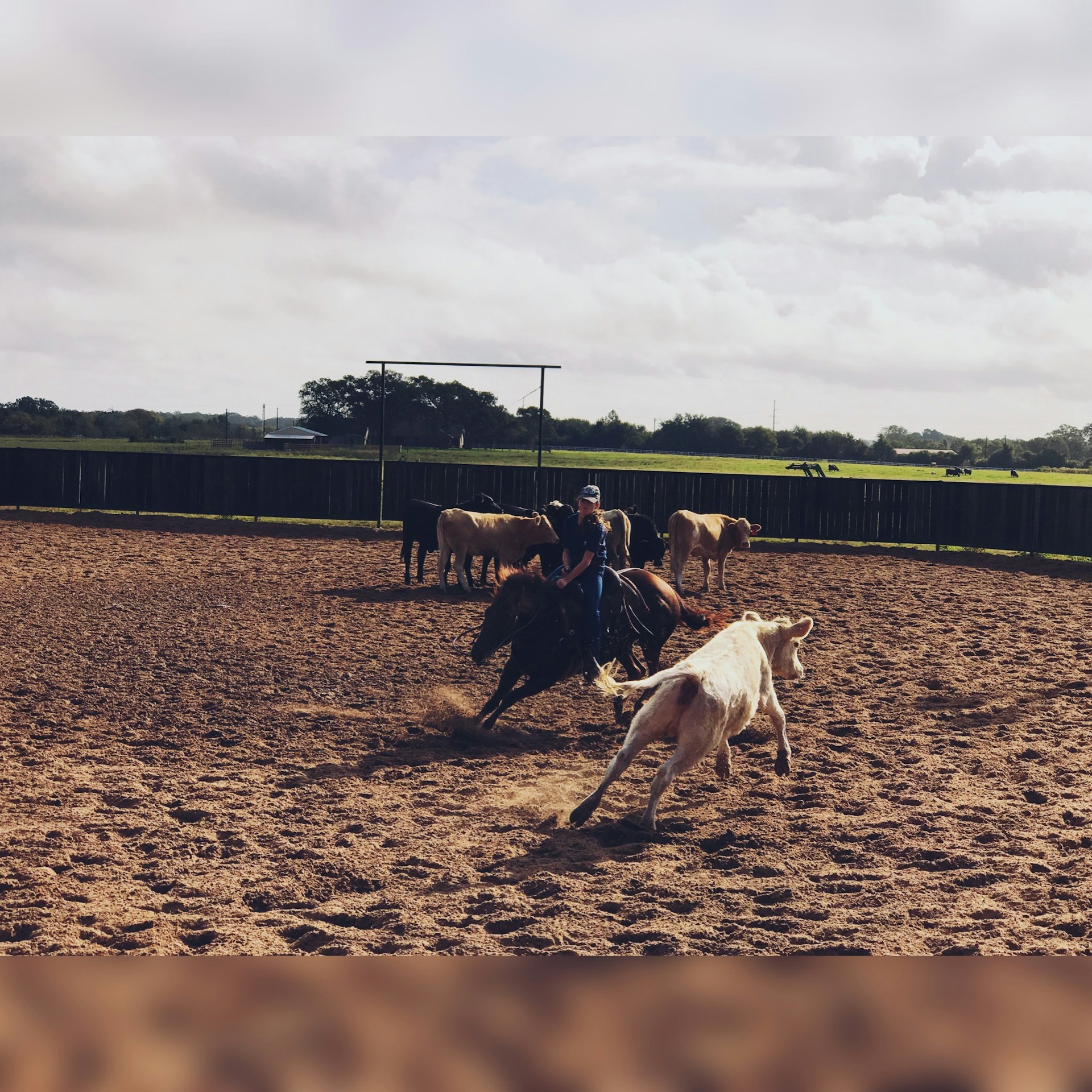 woman wearing yellow long-sleeved dress under white clouds and blue sky during daytime
