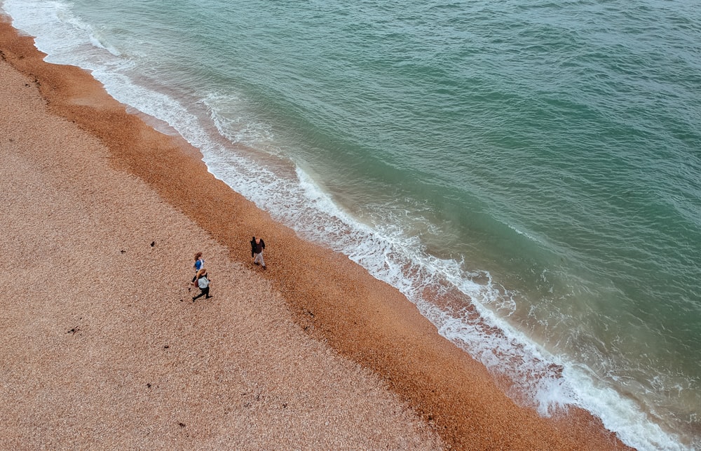 people standing near beach