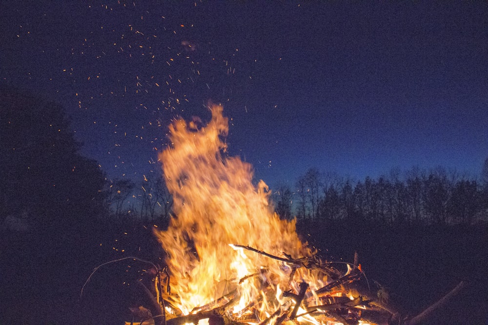 Lagerfeuer mit Silhouette von Bäumen in der Ferne