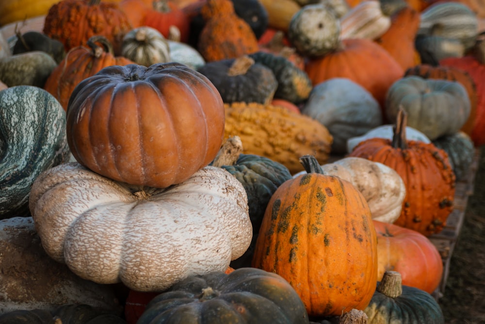 pile of pumpkins