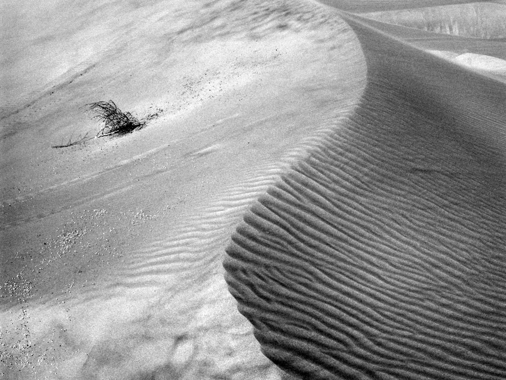 grayscale photography of desert