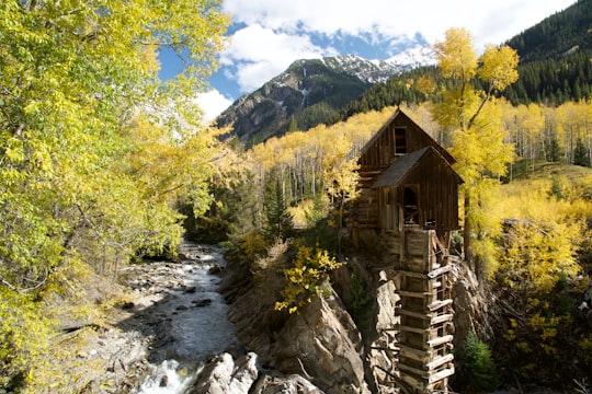 aerial view photography of tree house in Crystal Mill United States