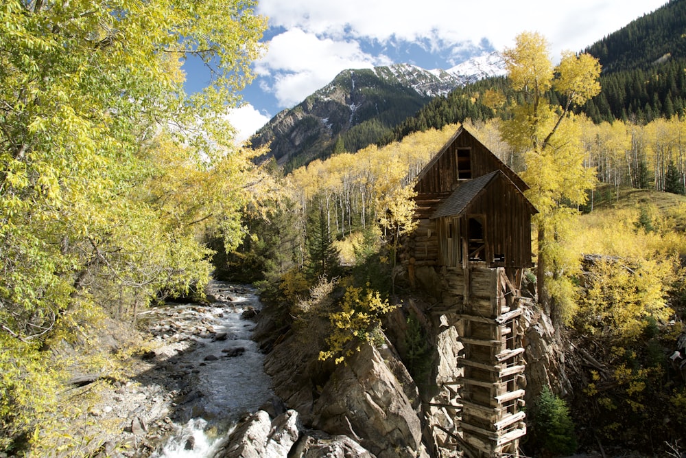 aerial view photography of tree house