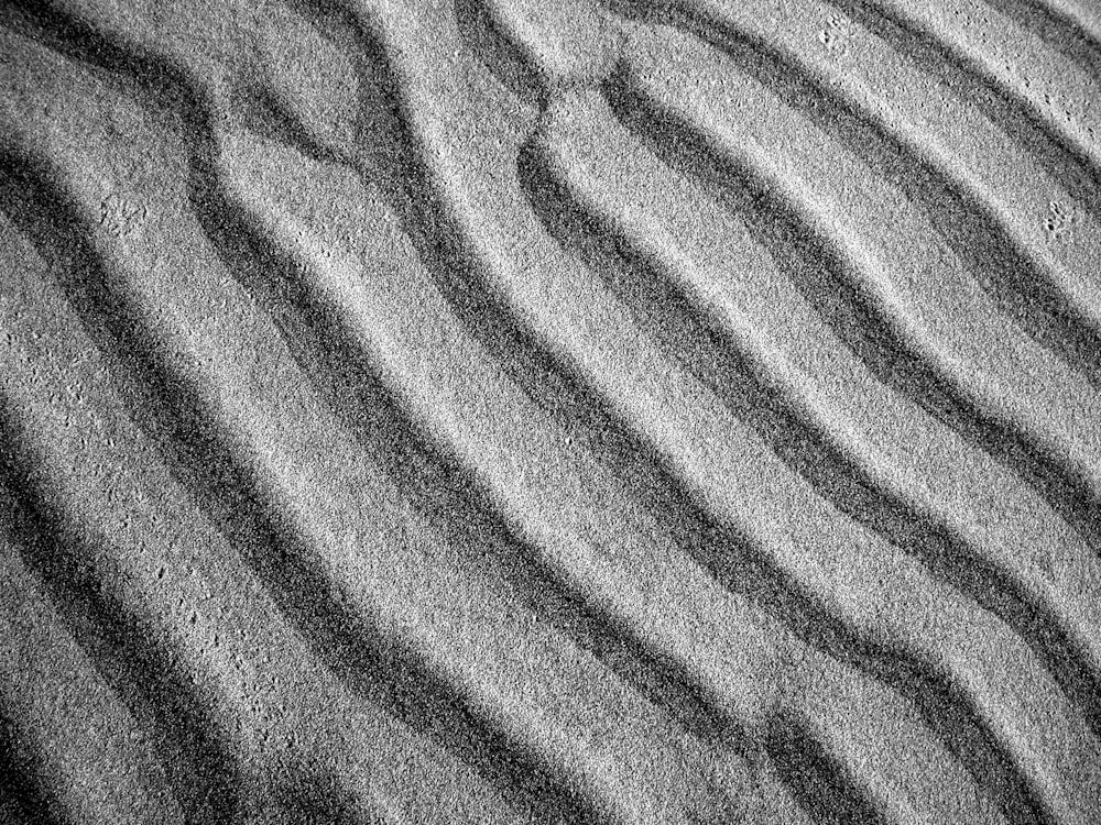 Una foto in bianco e nero di una duna di sabbia