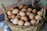 Close-up of a basket filled with vibrant, freshly laid eggs on a rustic wooden table.