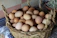 Close-up of a small basket filled with speckled quail eggs on a rustic wooden table.