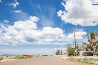 A scenic view of vacant land in Florida.