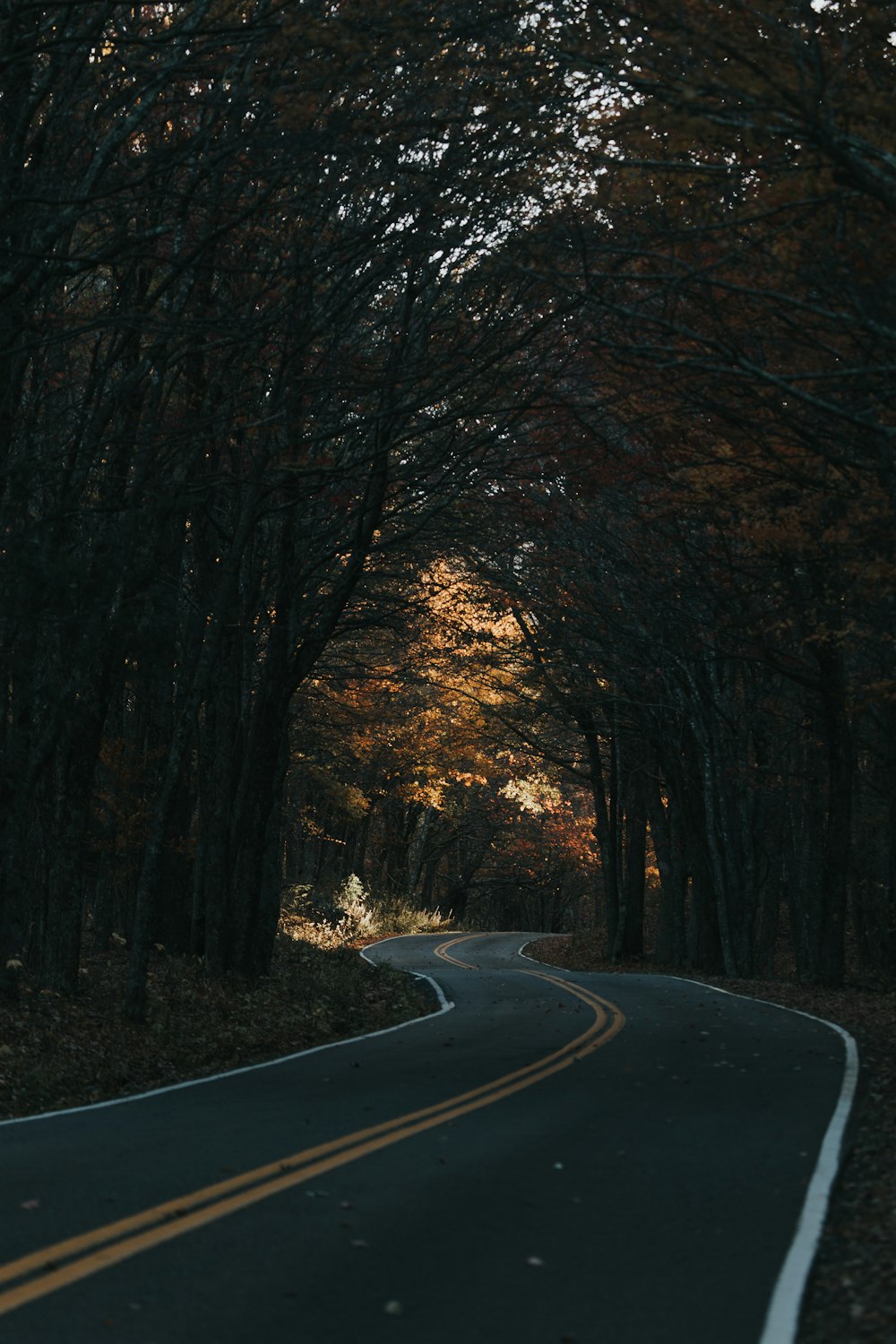 vehicle on road