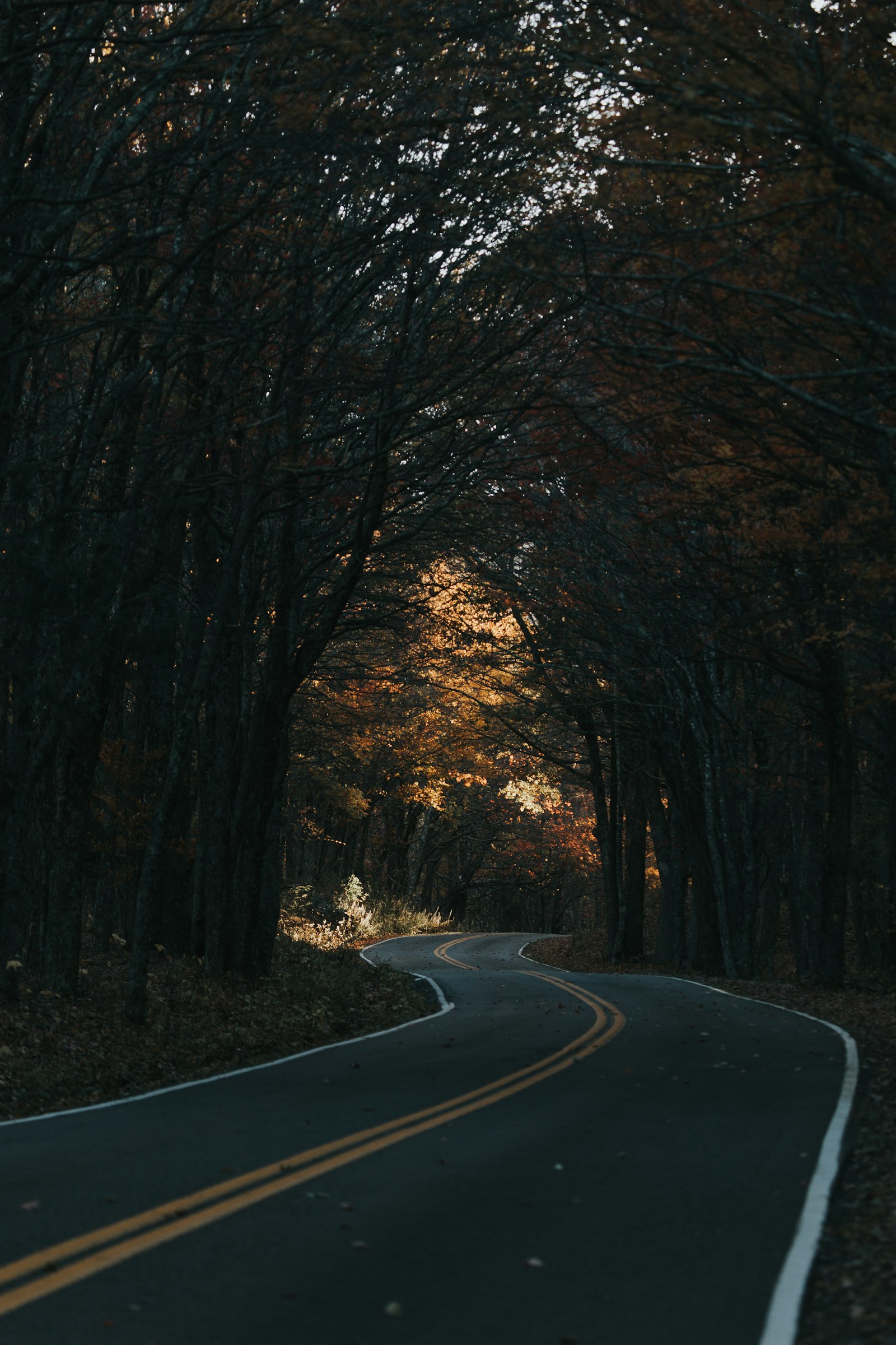 Canon EOS 6D + Canon EF 100-400mm F4.5-5.6L IS USM sample photo. Vehicle on road photography