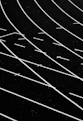 white lines on track field