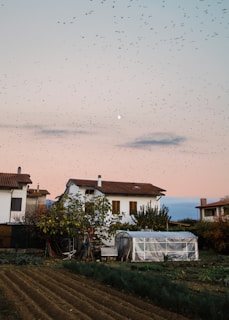 A serene rural scene features a white house with a red roof, surrounded by trees and a garden. A field with evenly spaced rows stretches in the foreground. A greenhouse is positioned near the house. The sky is a soft gradient of pink and blue at dusk, populated by a large flock of birds flying across.