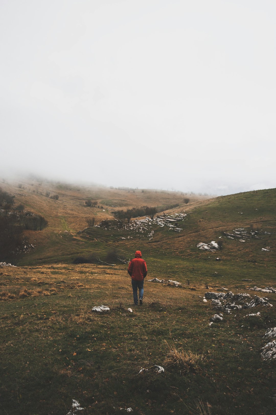 man walking on green grass field