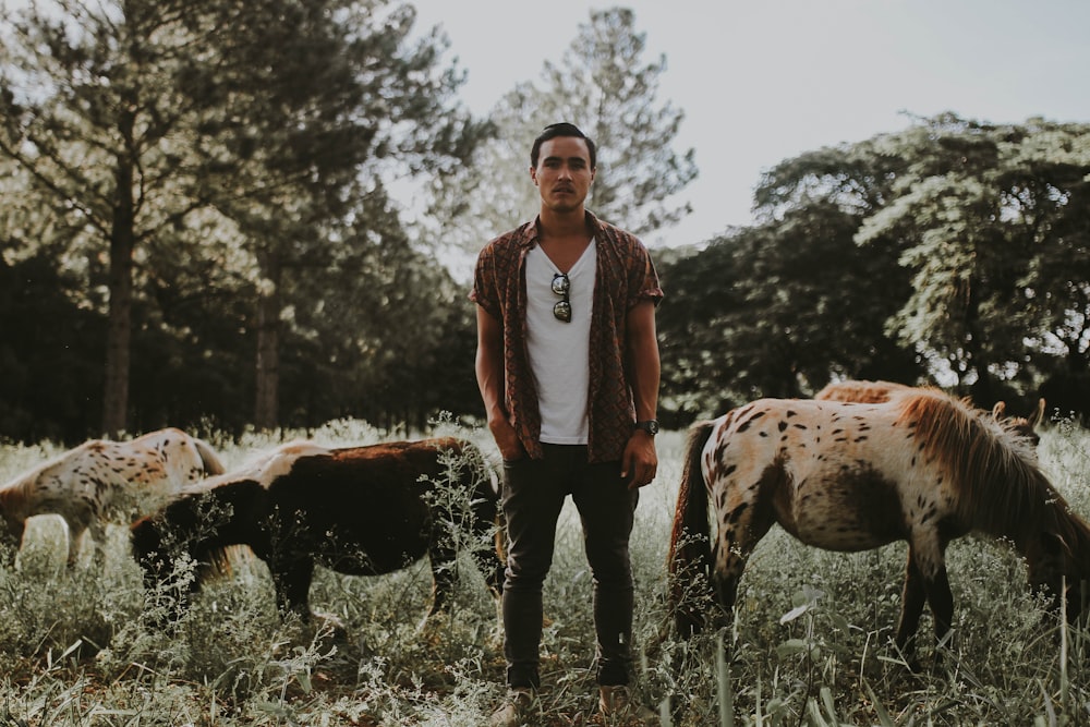 man standing between horse during daytime