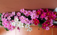 A vibrant birthday floral display featuring terracotta and soft sand hues, with children’s smiling faces blurred in the background.