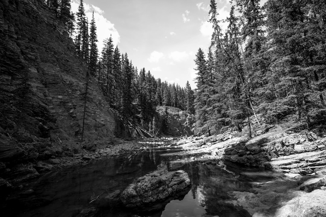 River photo spot Jasper Miette River