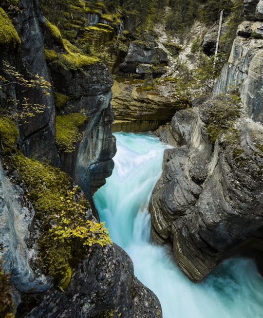 water falls between gray rock formation during daytime in Mistaya Canyon Canada