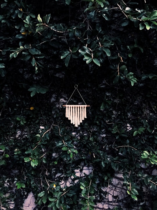 green leaves and brown wooden hanging decor in Fort Myers United States