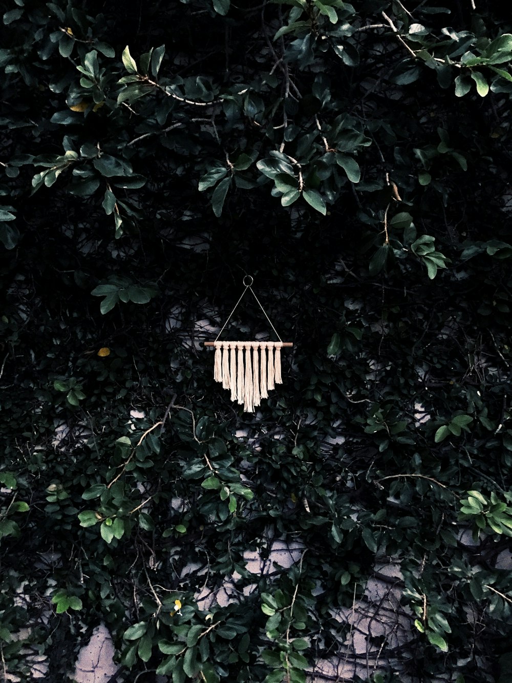 green leaves and brown wooden hanging decor