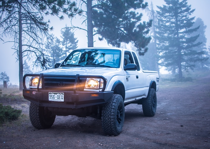 white and black Toyota vehicle parked near green trees