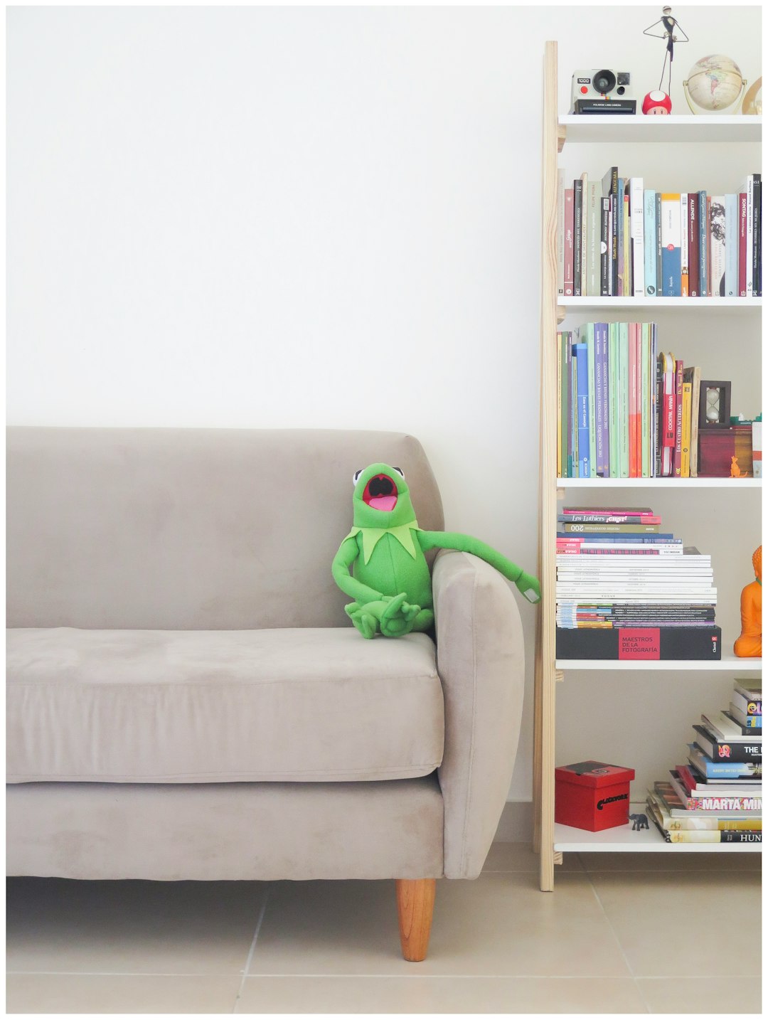  the muppets kermit plush toy on gray sofa bookcase