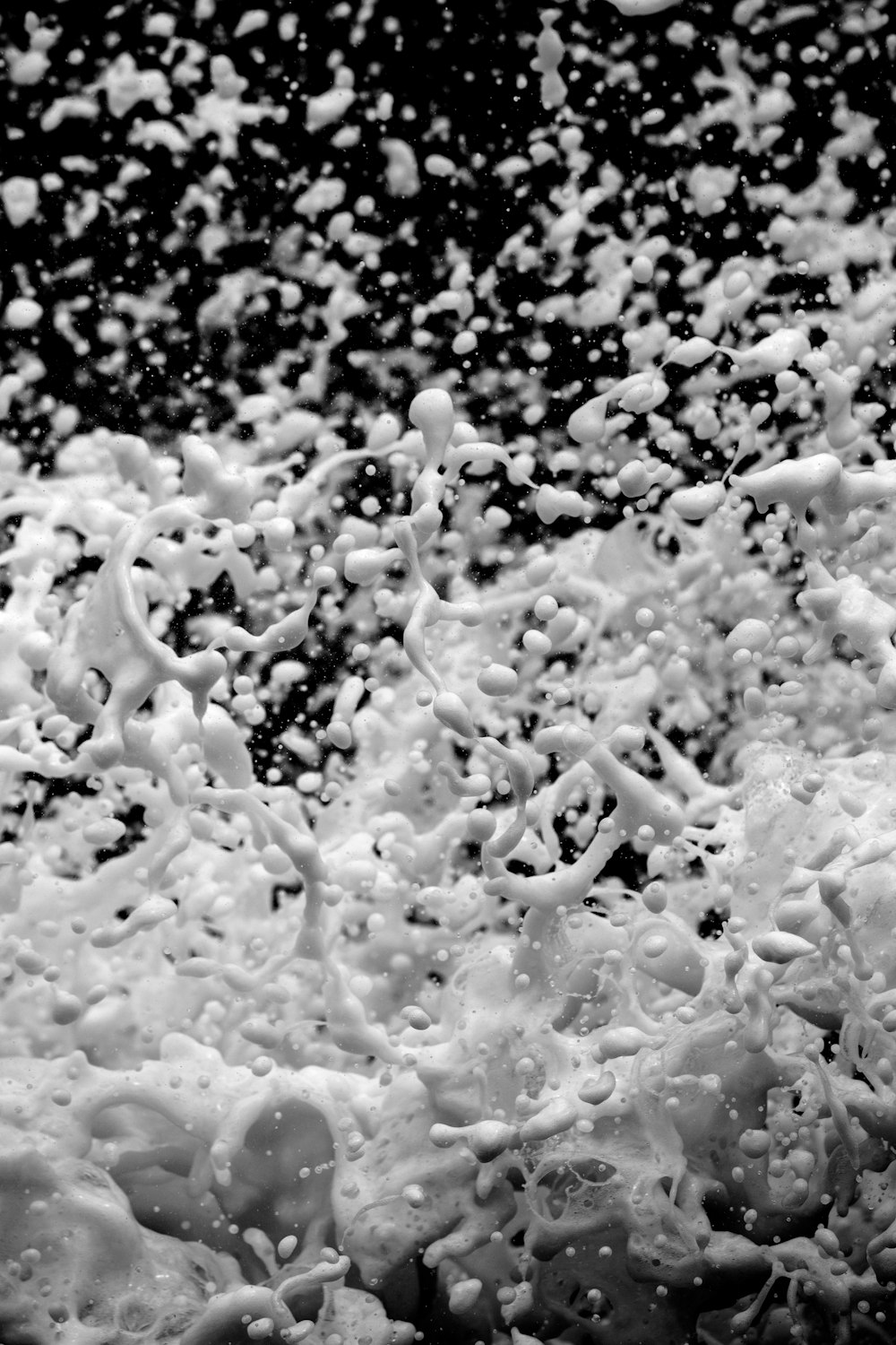 salpicadura de agua fotografía en escala de grises