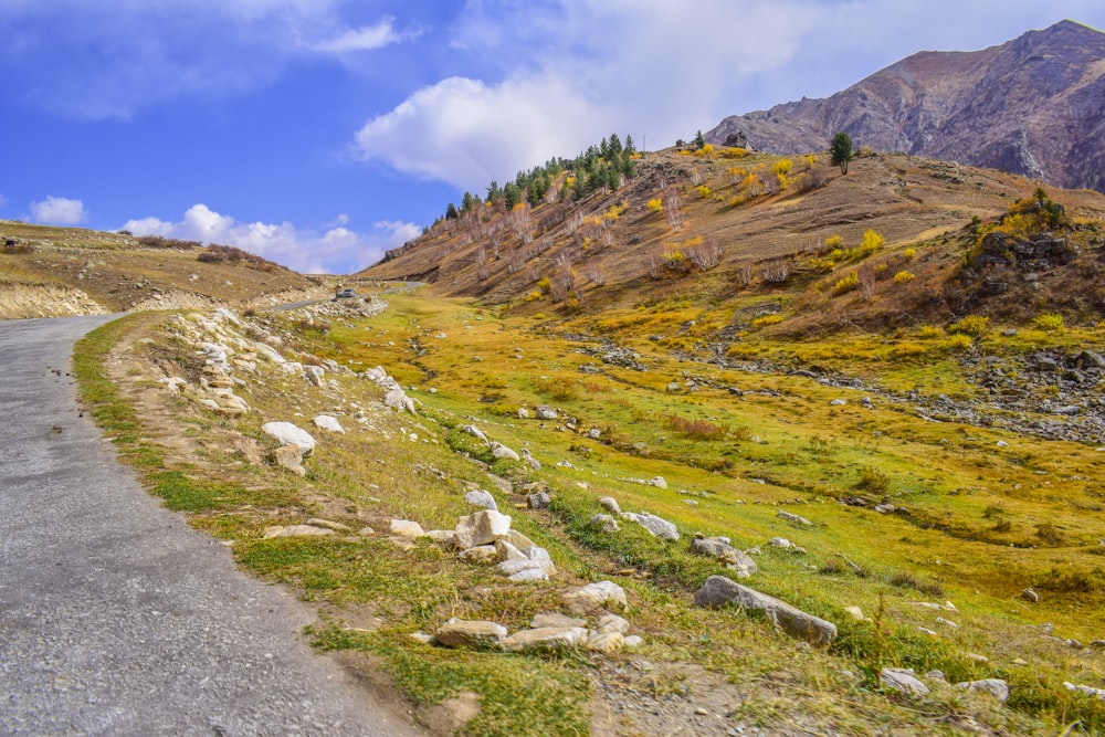 road near green grass field at daytime