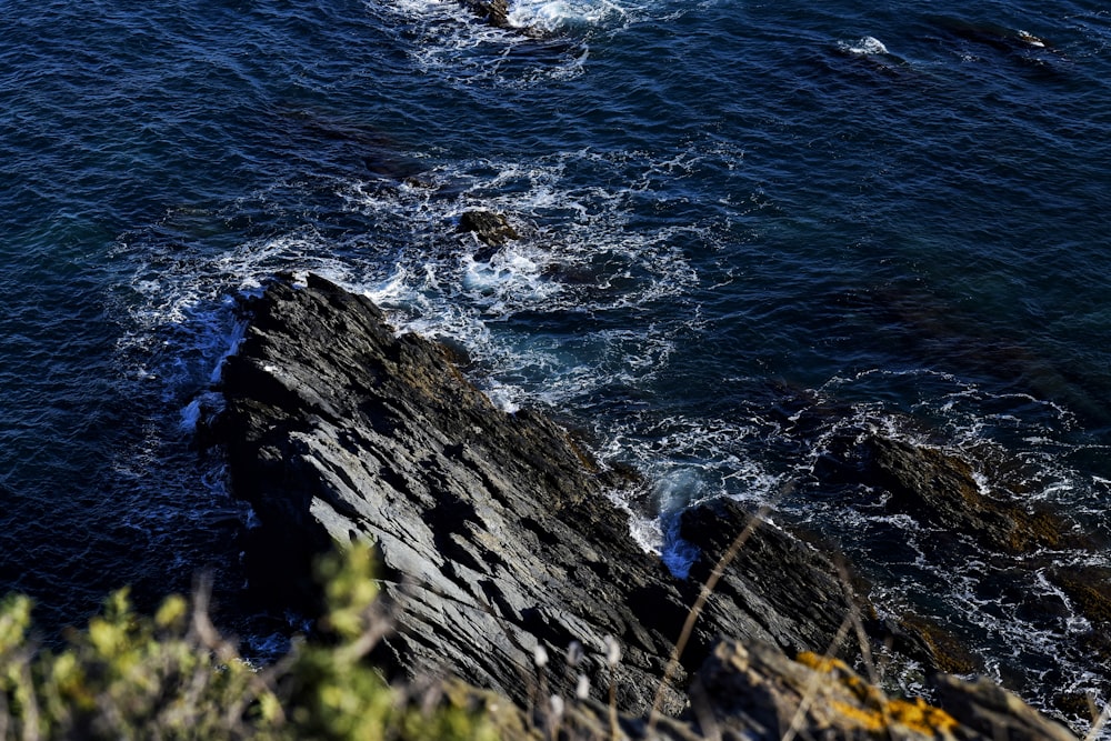 aerial photography of body of water