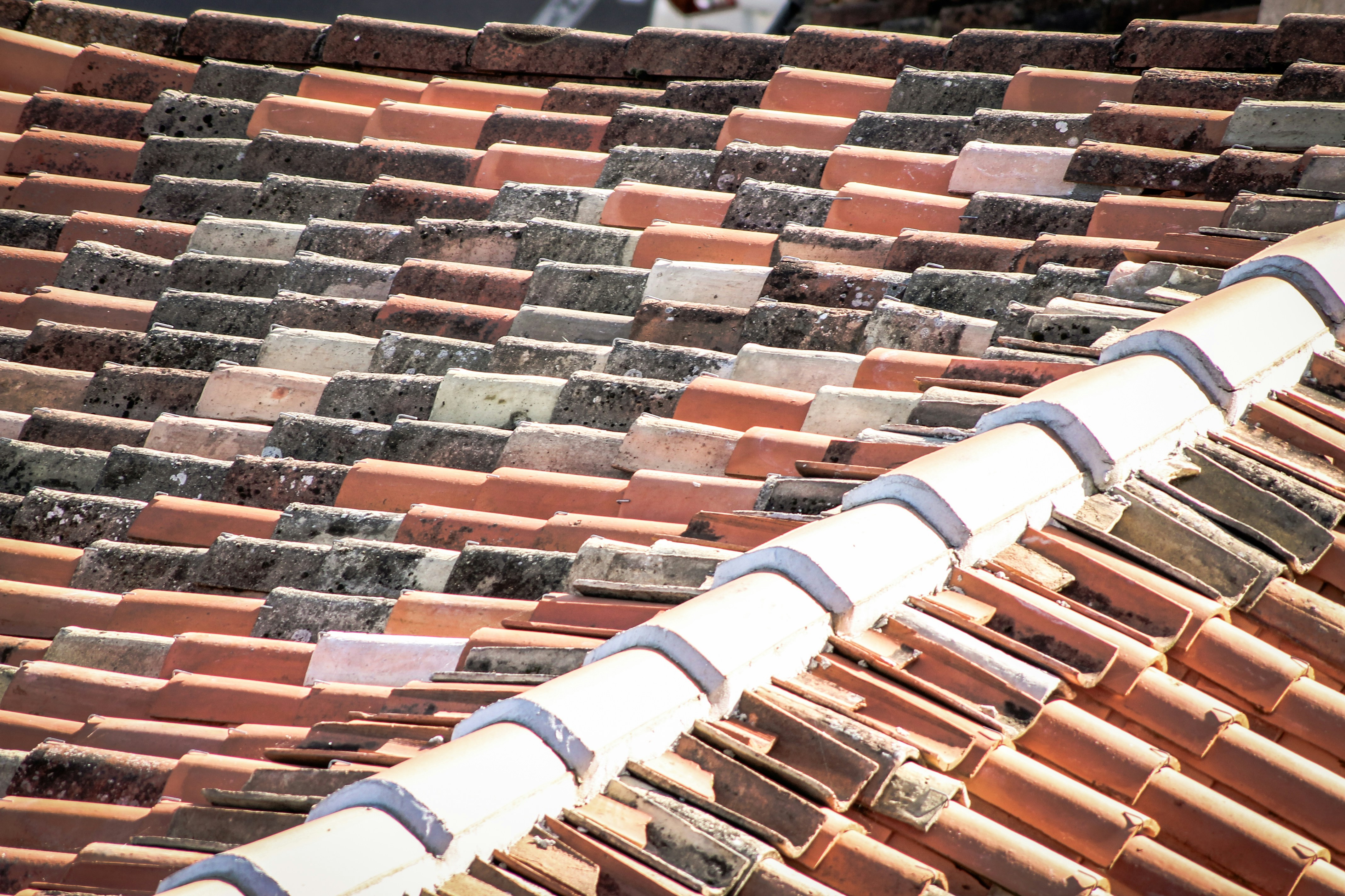 Explore Unique Roofing Designs