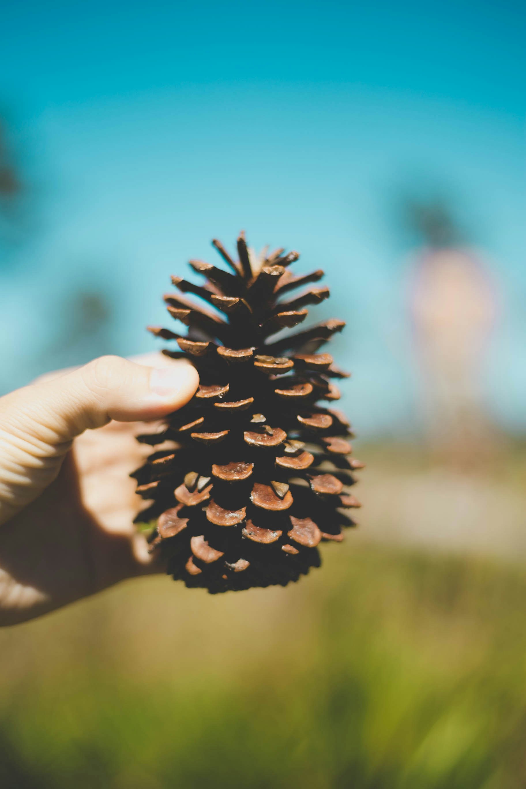 Photo by kenrickmills