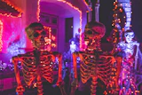 ハロウィン一人旅、USJとディズニーどっちが向いてる？