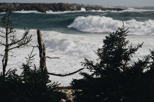 high ocean waves in beach in Schoodic Peninsula United States