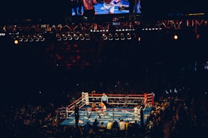 Title Boxing Gyro Balanced Speed Bag