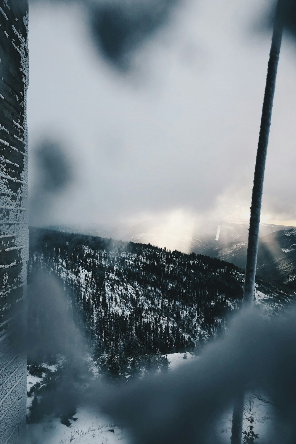 view of mountain with trees