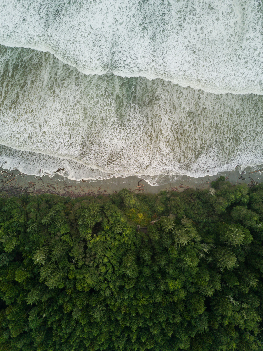 Aerial view of Pacific surf meeting dense forest near Ucluelet, Vancouver Island