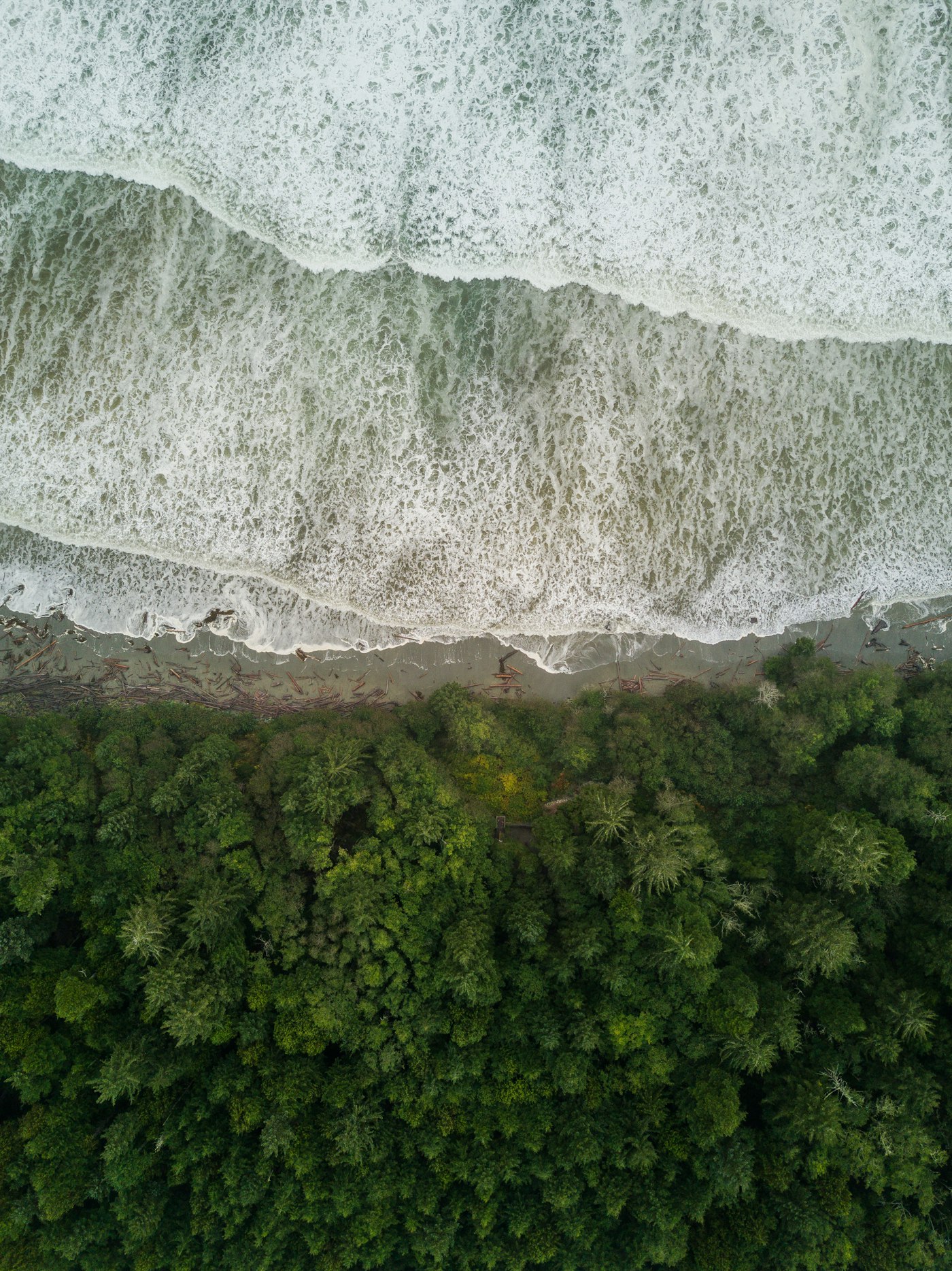 Aerial view of Pacific Rim National Park, Vancouver Island