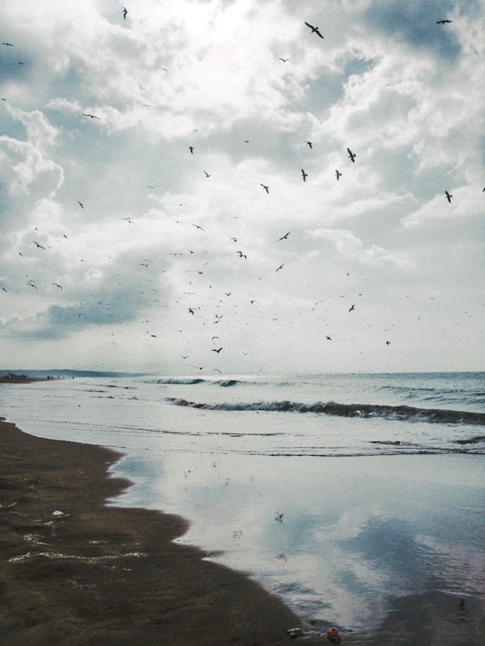 photo of Costa da Caparica Beach near Tróia Peninsula