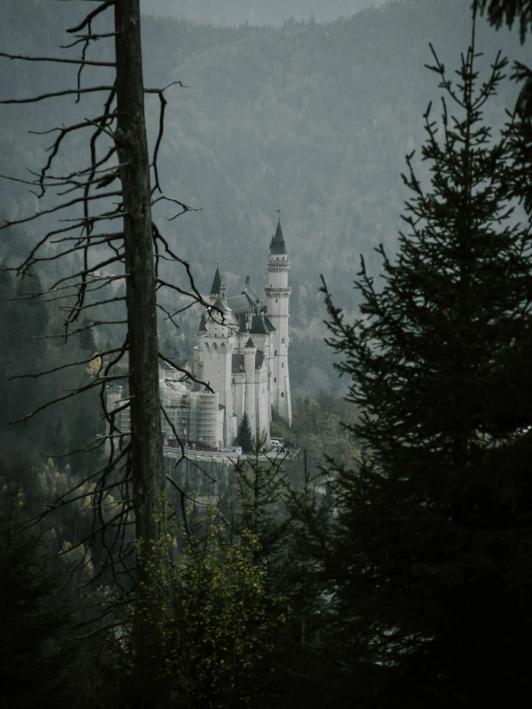 Neuschwanstein through the pines