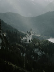 white castle surrounded by trees