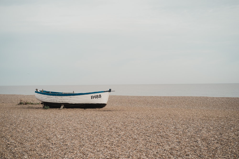white and blue IH88 rowboat on sand beside large body of water