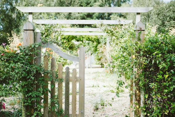 beige wooden fence covered with green vine plants