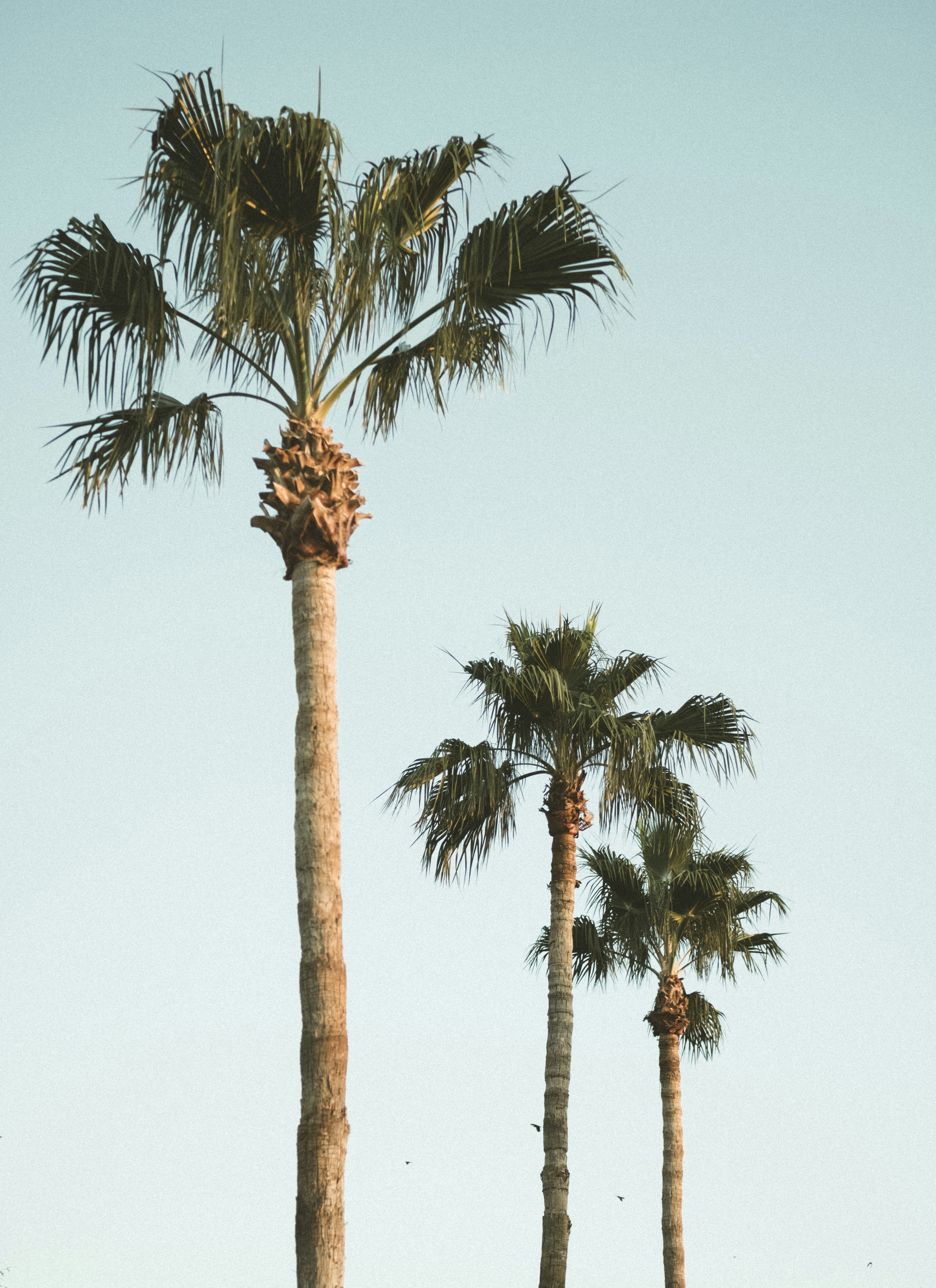 sam bloom (@sambloom) | Communauté photos Unsplash