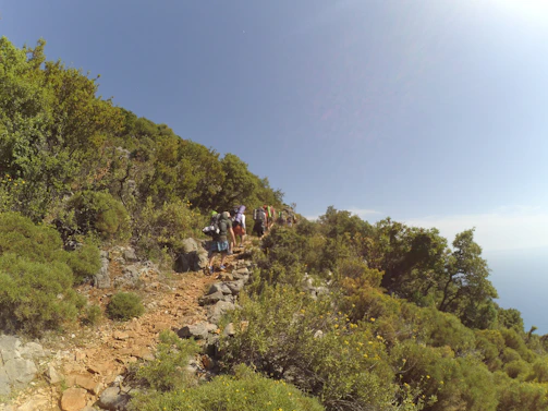 Trekking group crossing a scenic mountain trail with vibrant greenery and clear blue skies.