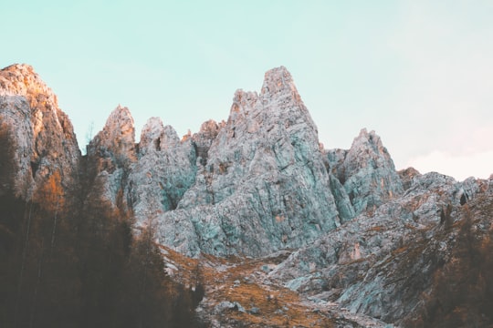 brown and grey rocky mountain in Carezza Italy