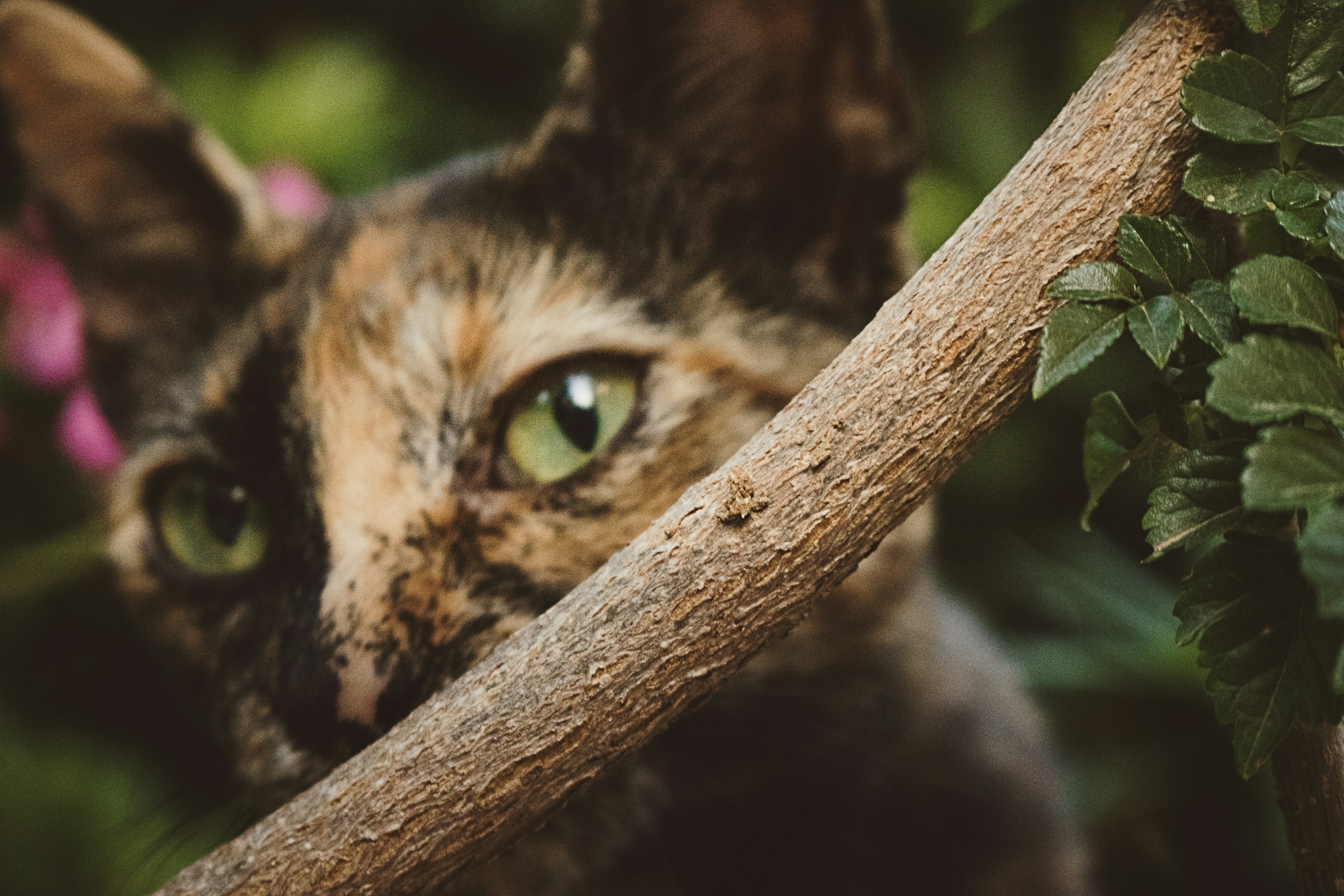 photo-1509575477625-add58a48d76f?ixlib=rb-1.2.1&ixid=eyJhcHBfaWQiOjEyMDd9&auto=format&fit=crop&w=1500&q=80