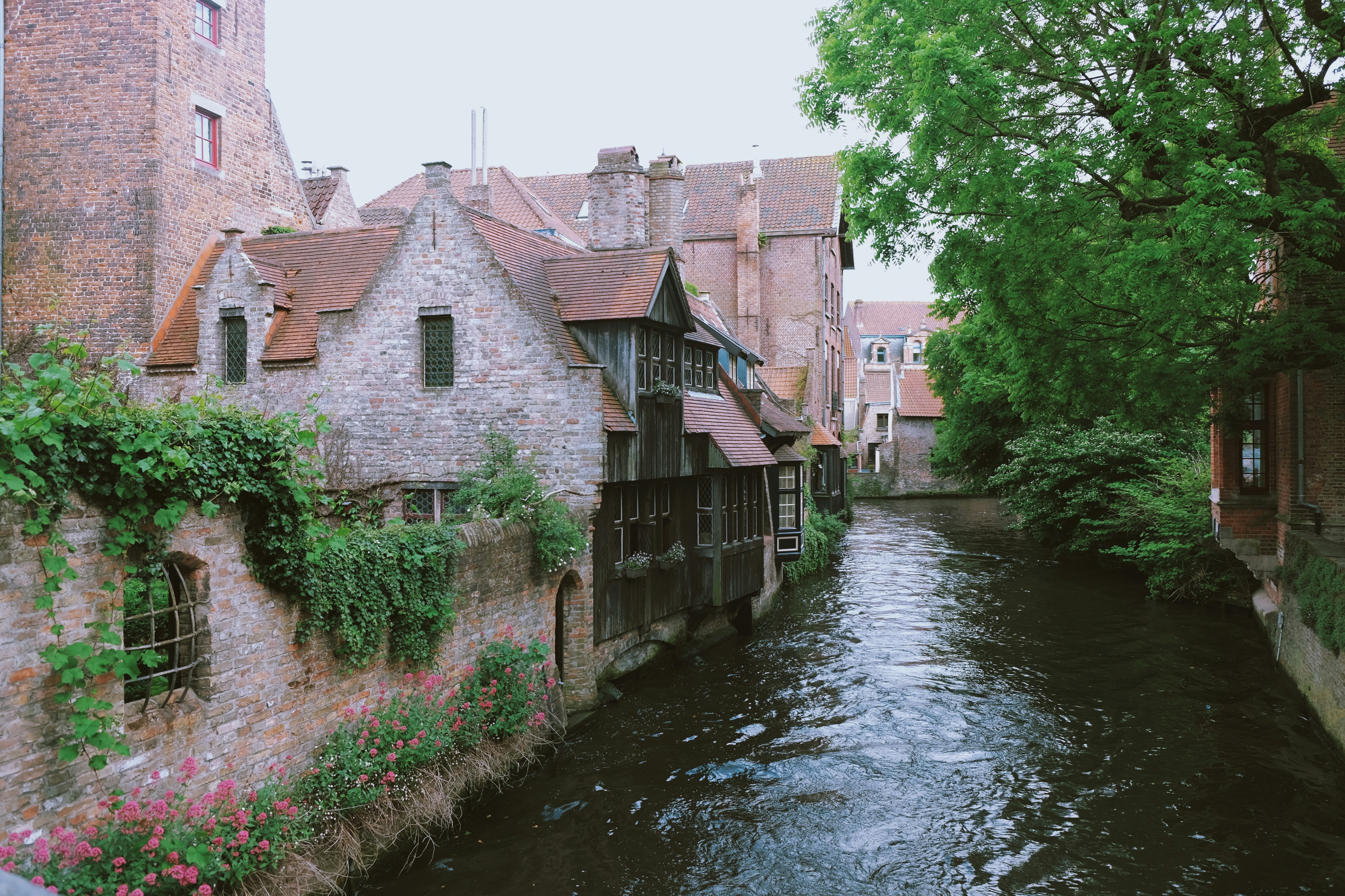 Pump Service and Installation in Wiltshire's image