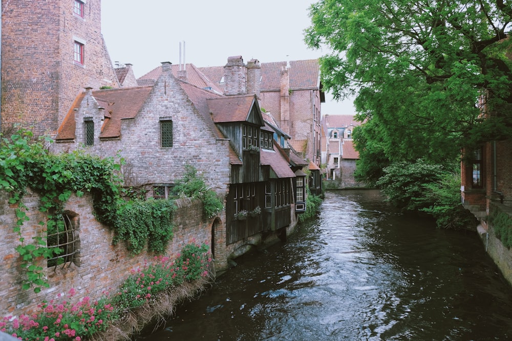 photo of brown concrete buildings beside green river and green leaf tree