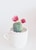 green cactus with flowers
