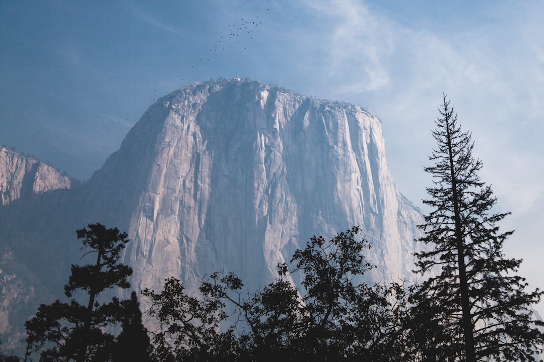 Hill station photo spot El Capitan Yosemite National Park, Half Dome