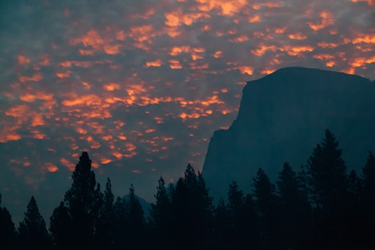 silhouette of trees near mountain during golden hour in Half Dome United States