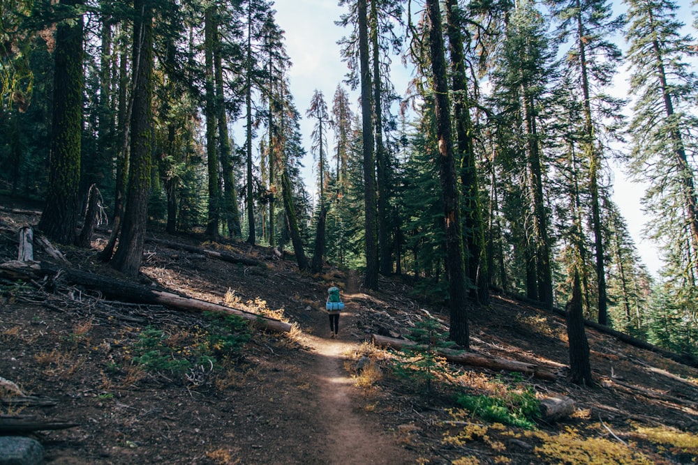 donna che cammina sul sentiero nella foresta